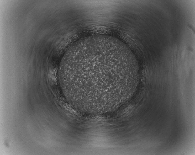 X0000100491010200806271231