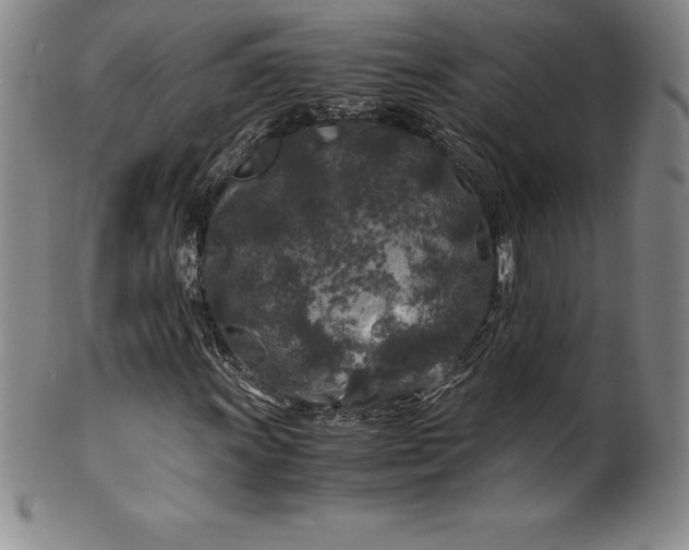 X0000100491011200806271231