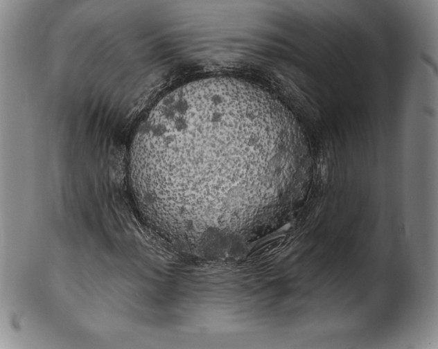 X0000100491012200806271231