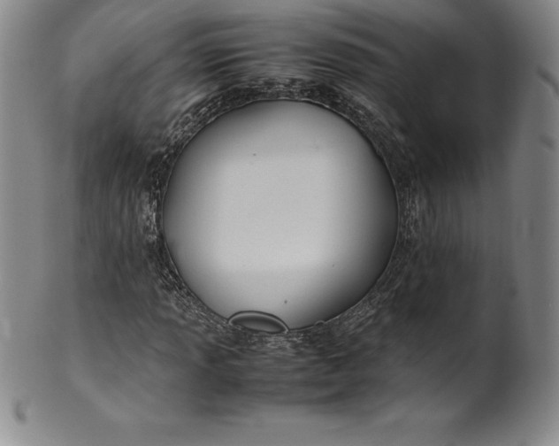 X0000100491013200806271232