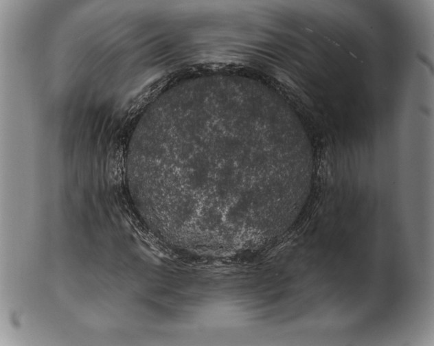 X0000100491014200806271232