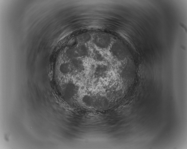 X0000100491015200806271232