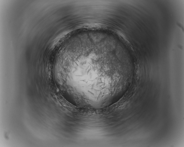 X0000100491016200806271232