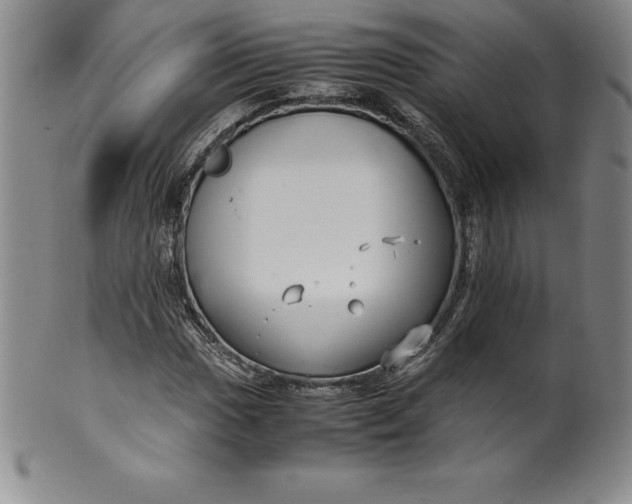 X0000100491017200806271232