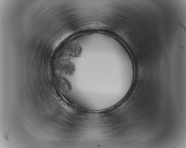 X0000100491018200806271232