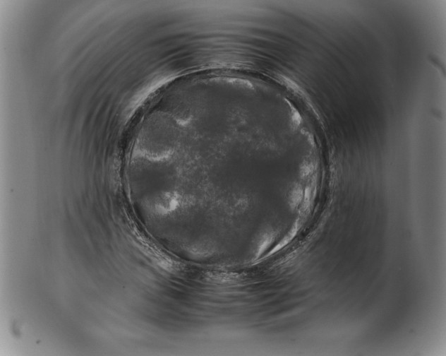 X0000100491019200806271232