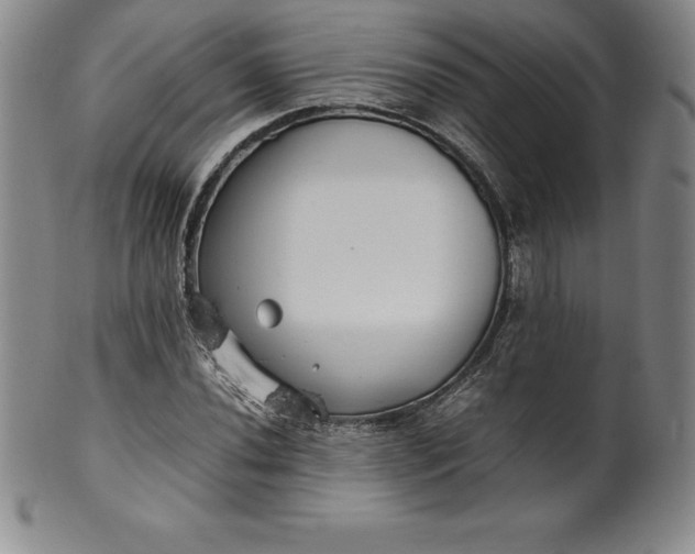 X0000100491020200806271232