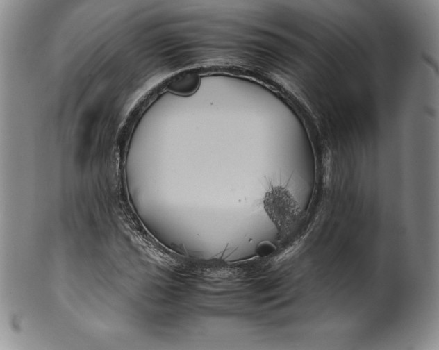 X0000100491021200806271232