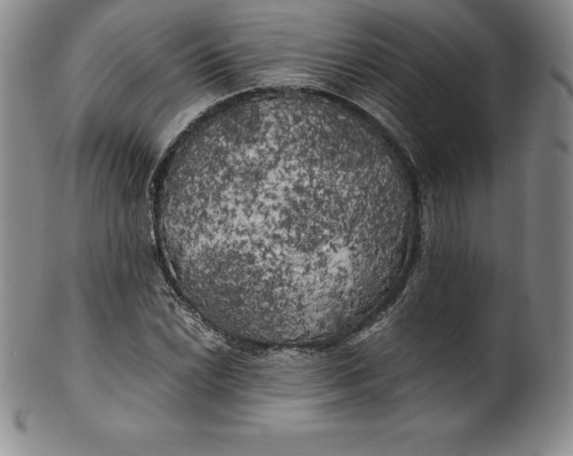 X0000100491022200806271232