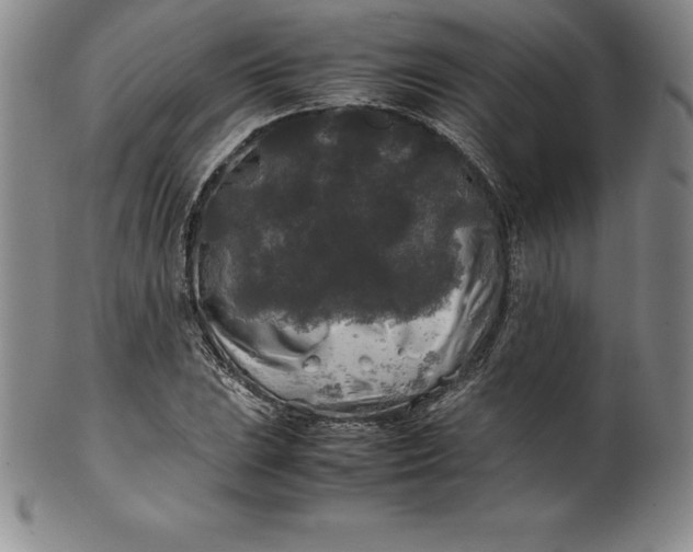 X0000100491023200806271232