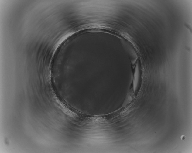 X0000100491024200806271232