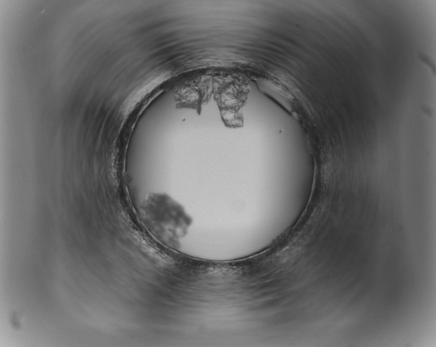 X0000100491026200806271232