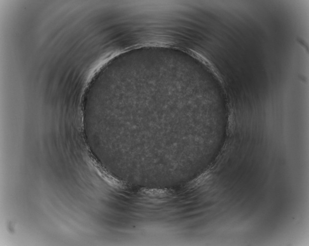 X0000100491027200806271232