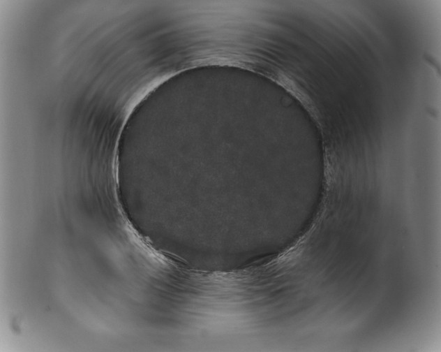 X0000100491028200806271232