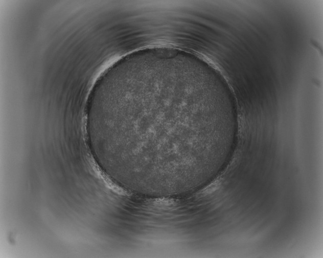 X0000100491029200806271232