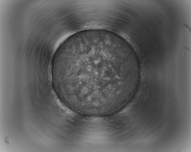 X0000100491030200806271232