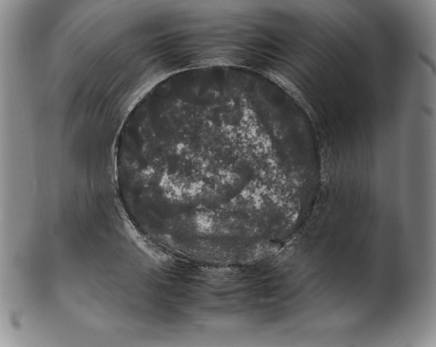 X0000100491031200806271232