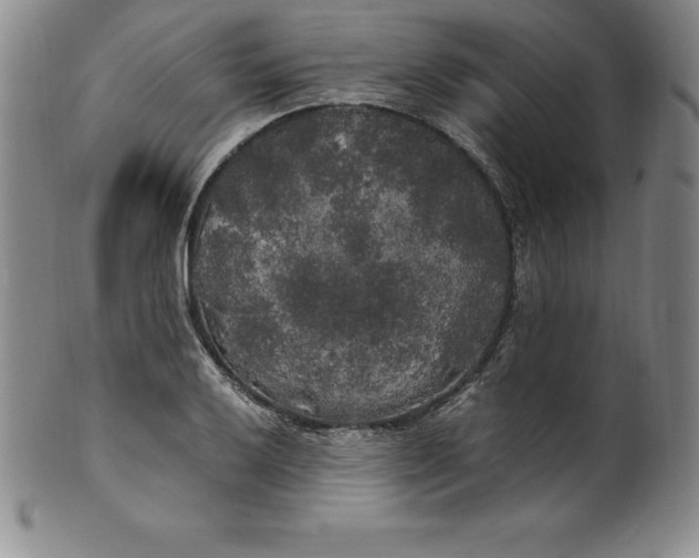 X0000100491032200806271232