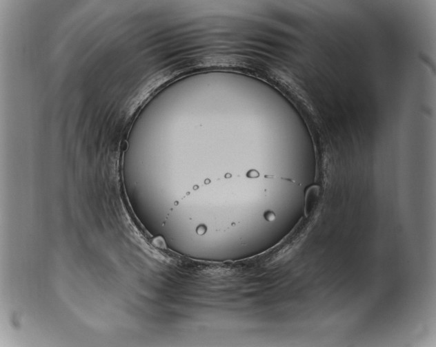 X0000100491033200806271232