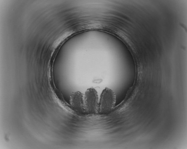 X0000100491034200806271232