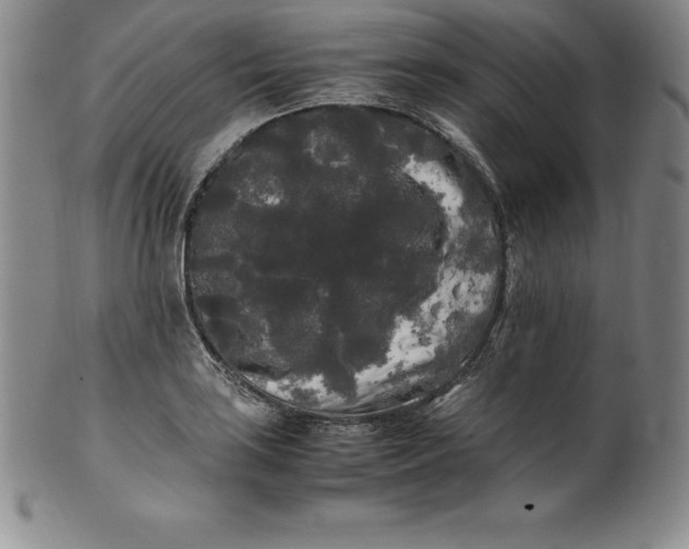 X0000100491035200806271232