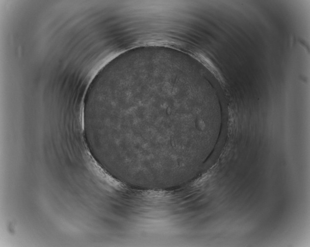 X0000100491036200806271232