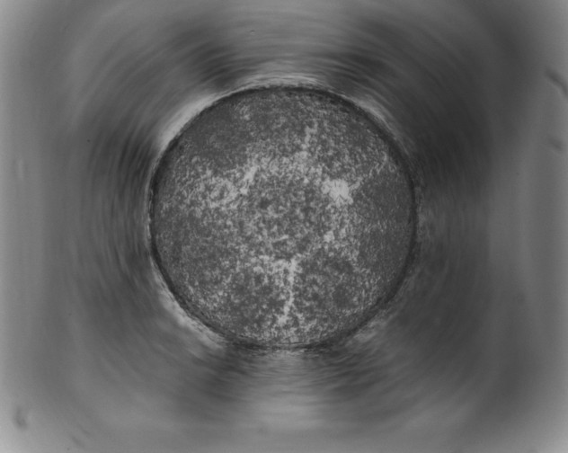 X0000100491038200806271232