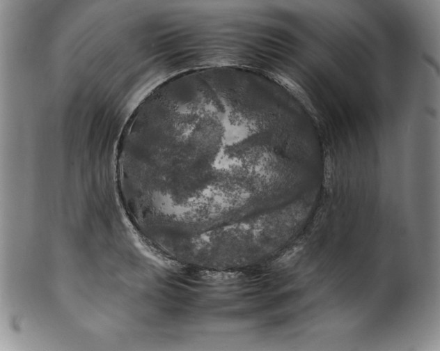 X0000100491039200806271232