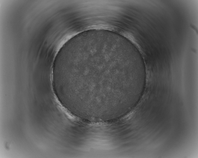 X0000100491040200806271232