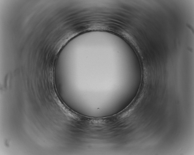 X0000100491041200806271232