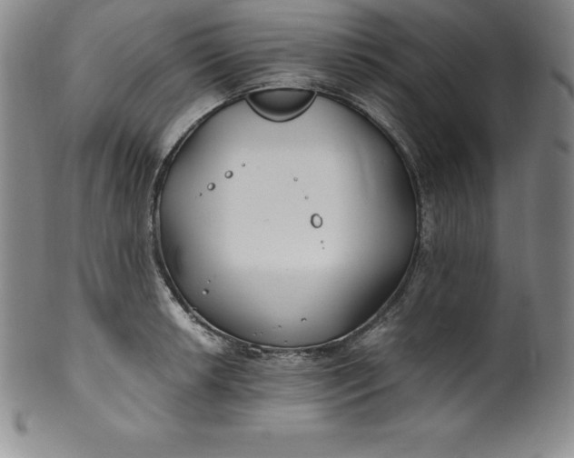 X0000100491042200806271232