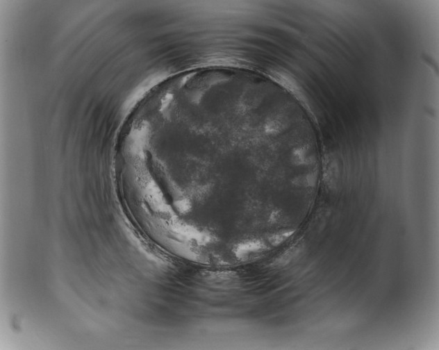 X0000100491043200806271232