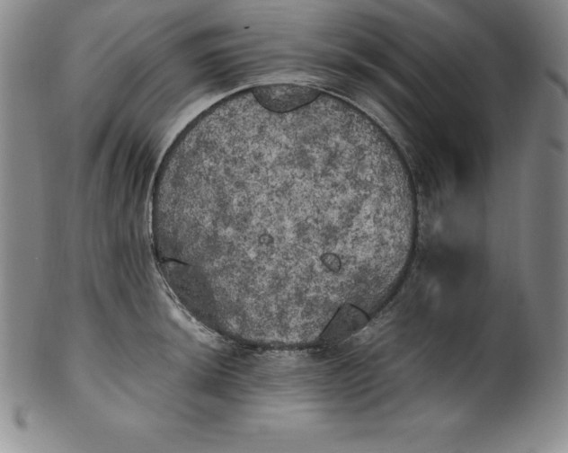 X0000100491044200806271232