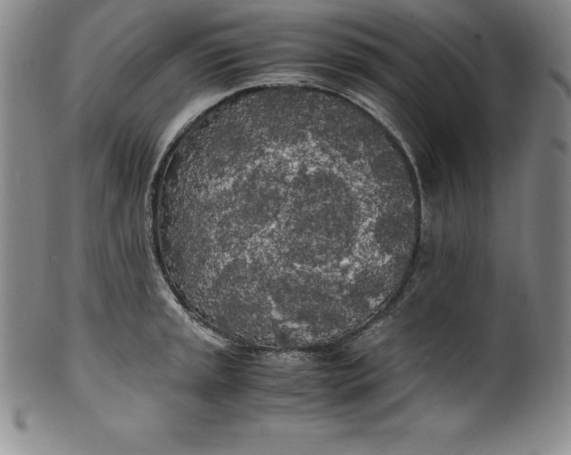 X0000100491045200806271232