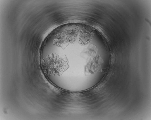 X0000100491046200806271232