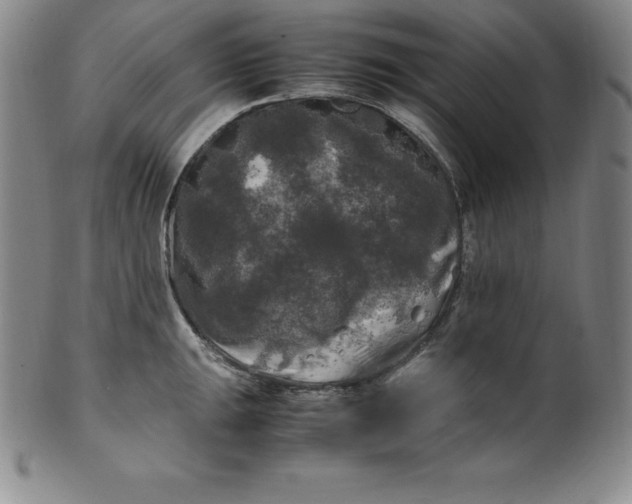 X0000100491047200806271232