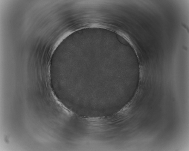 X0000100491048200806271232