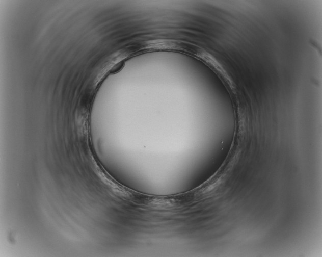 X0000100491049200806271232