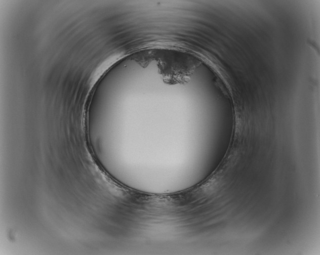 X0000100491050200806271232