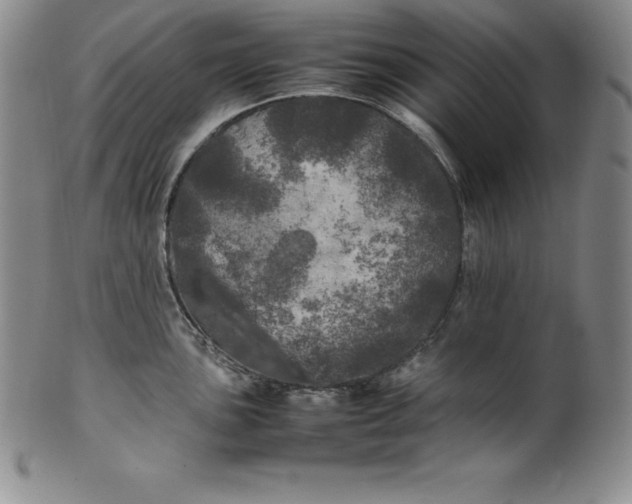 X0000100491051200806271232