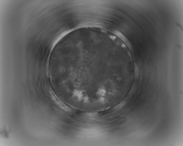 X0000100491052200806271232