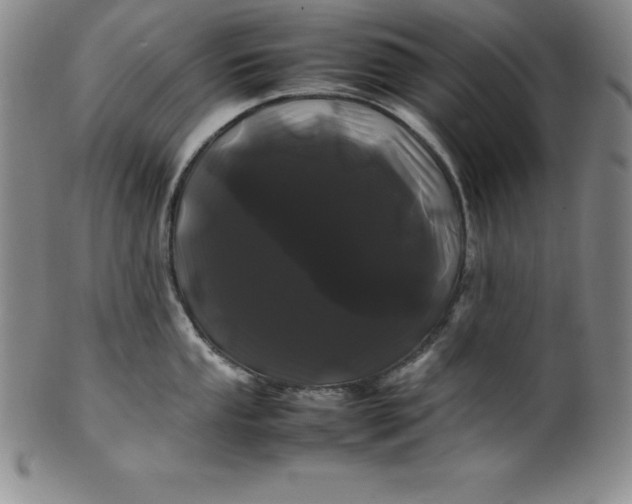 X0000100491053200806271232