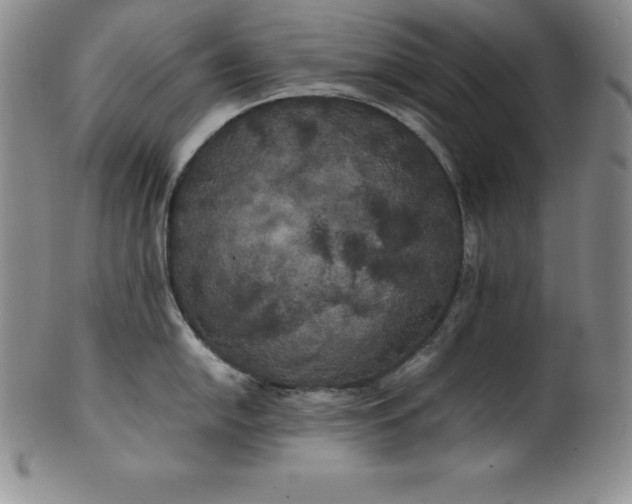 X0000100491054200806271232