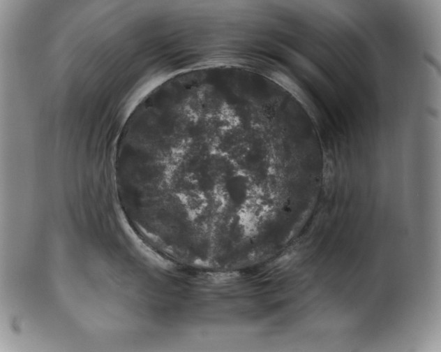 X0000100491055200806271232