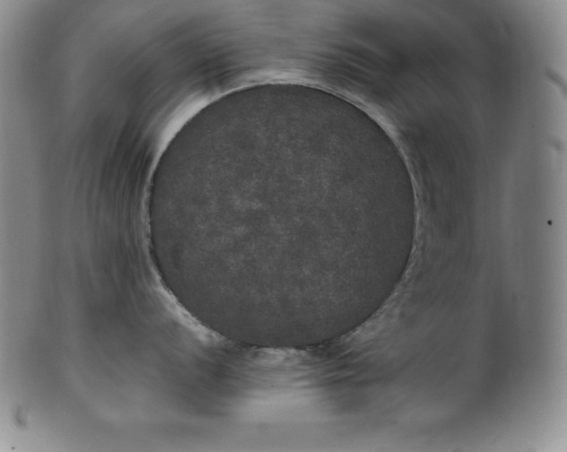 X0000100491056200806271232