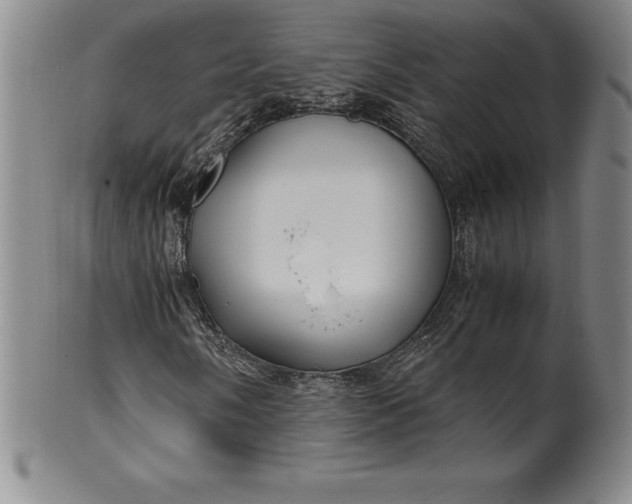 X0000100491058200806271231