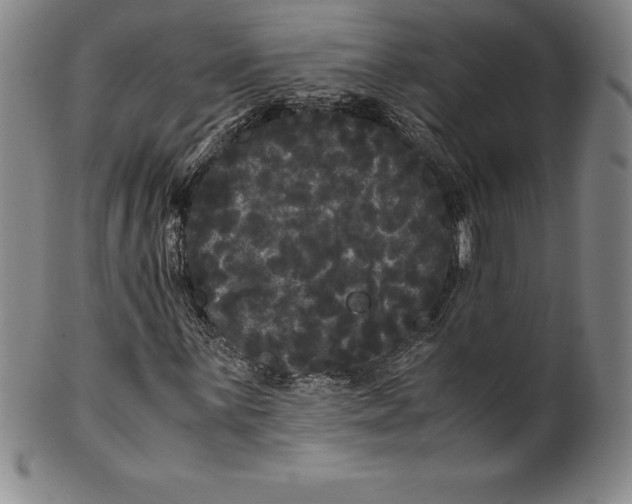 X0000100491059200806271231