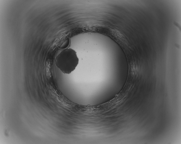 X0000100491060200806271231