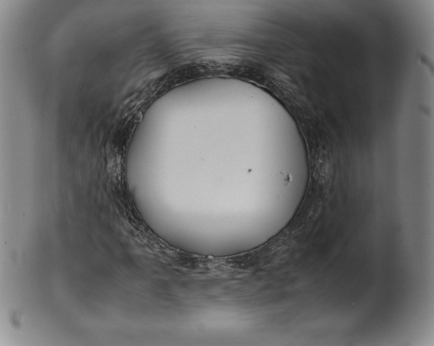 X0000100491061200806271231