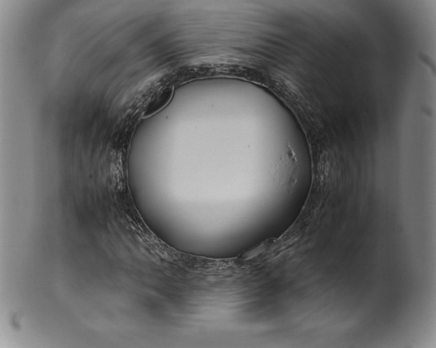 X0000100491062200806271231